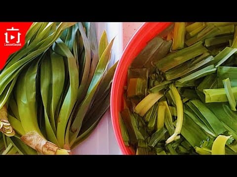 Çiriş Otu Yemeği Nasıl Yapılır Faydaları Nelerdir ?Çiriş Otu Nasıl Pişirilir ?Ot Kavurması ,Gulik