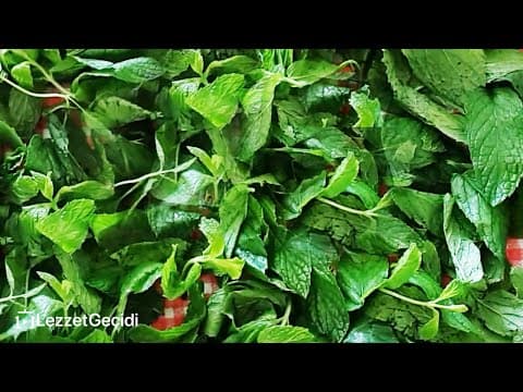 Kış Hazırlıkları EN DOĞAL YÖNTEMLE Evde Nane Nasıl Kurutulur ?