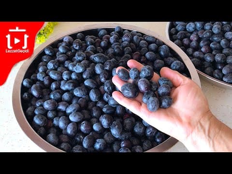 Siyah Zeytin Nasıl Yapılır ? Siyah Zeytin Tatlandırma Nasıl Yapılır ? YEMEK TARİFLERİ