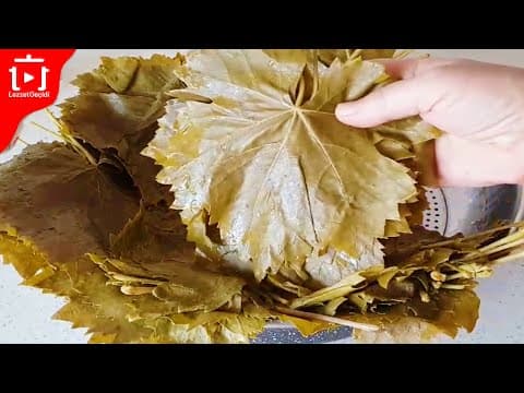 En Pratik Ve Kolay Yöntemle Asma Yaprağı Nasıl Saklanır ? Yaprak Saklama Yöntemleri