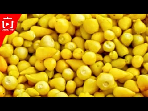 CİN BİBER TURŞUSU TARİFİ , TOP BİBER  NASIL YAPILIR ?