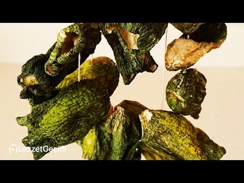 Salatalık Nasıl Kurutulur - EVDE EN SAĞLIKLI YÖNTEM