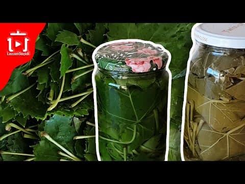 Kışlık Konserve Yapımı , Kavanozda Salamura Yaprak  Nasıl Yapılır?