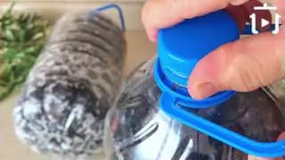 5 Litrelik Damacanada Siyah Zeytin Nasıl Kurulur – videodan kare