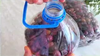 5 Litrelik Damacanada Siyah Zeytin Nasıl Kurulur – videodan kare