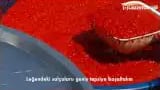 Biber Salçası Nasıl Yapılır (En Doğal Haliyle Kırmızı Kapya Salçası) – videodan kare