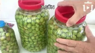 Çizik Zeytin Nasıl Yapılır – videodan kare