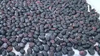 Çuvalda Zeytin Nasıl Yapılır – videodan kare