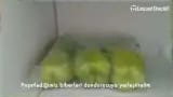 Derin dondurucuda dolmalık biber nasıl saklanır – videodan kare