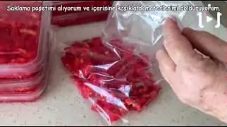 Domates Buzlukta Nasıl Saklanır – videodan kare