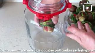 Efsane Turşu Tarifi Patlıcan Turşusu Nasıl Yapılır – videodan kare