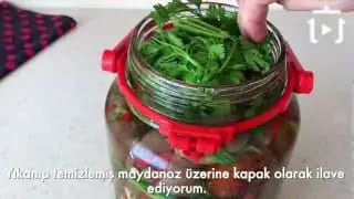 Efsane Turşu Tarifi Patlıcan Turşusu Nasıl Yapılır – videodan kare