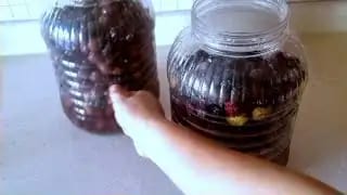 Evde Siyah Zeytin Nasıl Yapılır – videodan kare