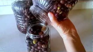 Evde Siyah Zeytin Nasıl Yapılır – videodan kare