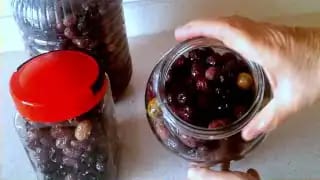 Evde Siyah Zeytin Nasıl Yapılır – videodan kare