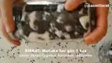 Evde Siyah Zeytin Yapımı – videodan kare