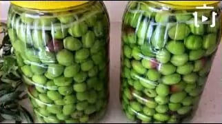 Kırmadan Çizmeden Yeşil Zeytin Nasıl Yapılır – videodan kare