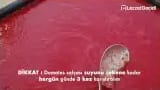 Domates Salçası Nasıl Yapılır – videodan kare