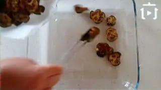 Patlıcan Musakka Nasıl Yapılır – videodan kare