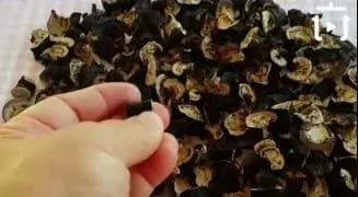 Patlıcan Nasıl Kurutulur – videodan kare