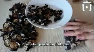 Patlıcan Nasıl Kurutulur – videodan kare