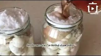 Sarımsak Turşusu Nasıl Yapılır Tarifi – videodan kare