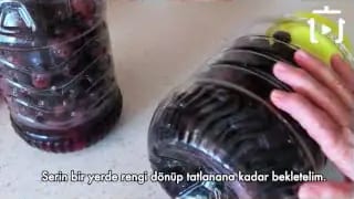Yağlı Sirkeli Siyah Zeytin Nasıl Yapılır – videodan kare