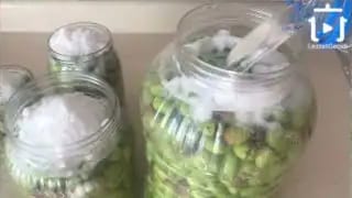 Yeşil Zeytin Nasıl Yapılır – videodan kare