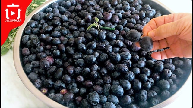 5 Farklı En Garanti Yöntemle Yeşil Ve Siyah Zeytin Kurulumu