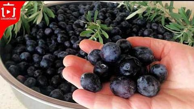 Siyah Zeytin Nasıl Yapılır Tatlandırılır