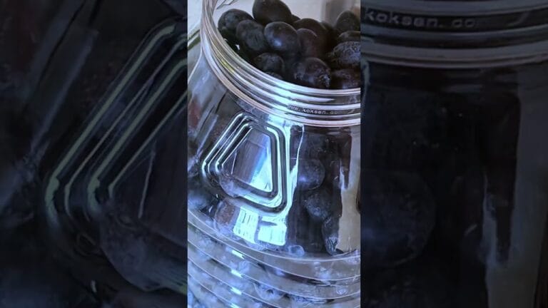 Siyah Zeytin Nasıl Yapılır – Kısa ve Hızlı Video