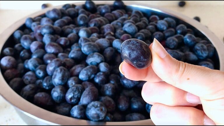 Siyah Zeytin Nasıl Yapılır ? Zeytin Nasıl Tatlandırılır ve Yemeye Hazır Hale Gelir ?